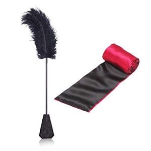 Leather Whip & Feather Tickler